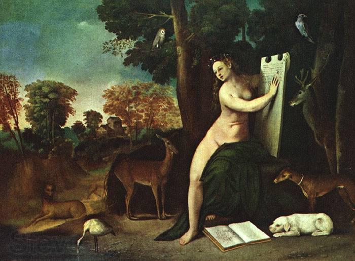DOSSI, Dosso Circe and her Lovers in a Landscape  sdgf Norge oil painting art